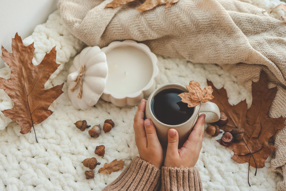 🍁 Welcome Fall: Cozy Skincare, Wellness & Seasonal Treats