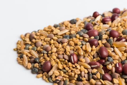 Ancient Eastern Blend - Image 4