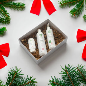 Pur Pure Holiday Kit - Image 1