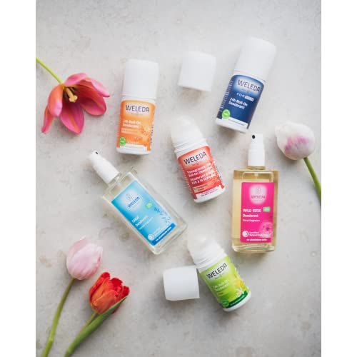 Men 24h Roll-On Deodorant - Image 10