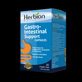 Gastro-intestinal Support - Image 2