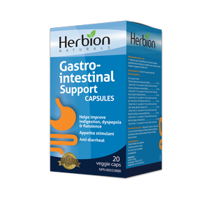 Gastro-intestinal Support - Image 4