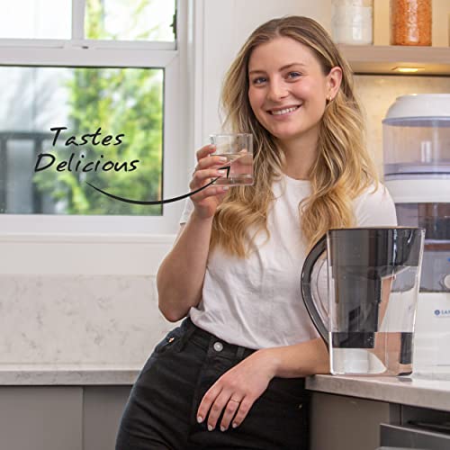 Santevia Systems - MINA Pitcher Filter - Image 8