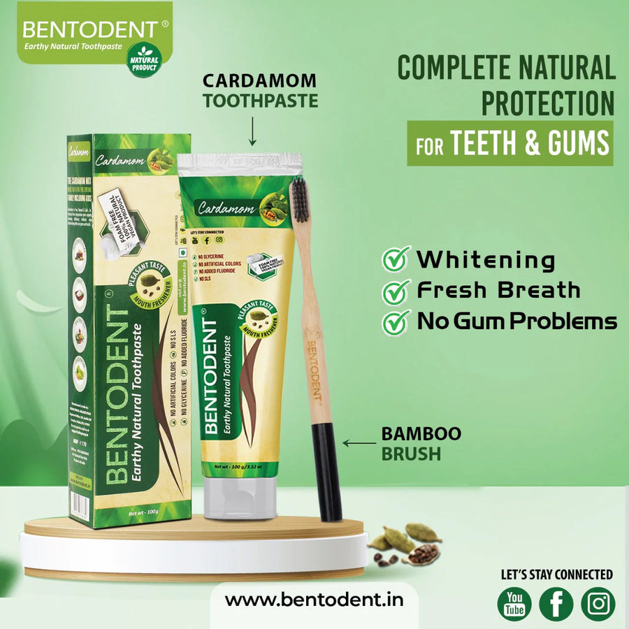 Bentodent - Combo (Cardamom) W/Toothbrush - Image 1