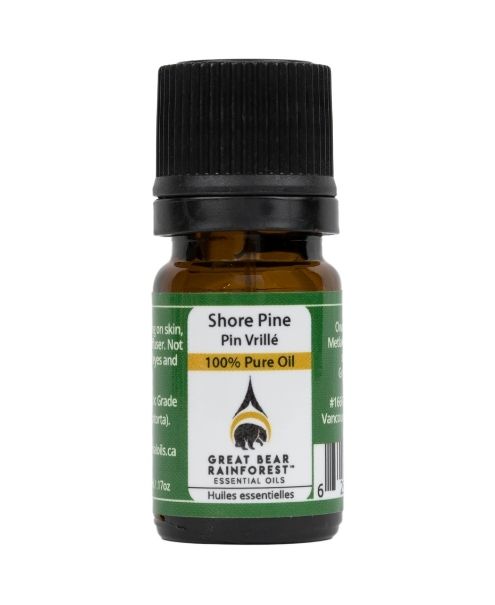 Great Bear Rainforest - Pure Pine Essent. Oil 5ml - Image 1