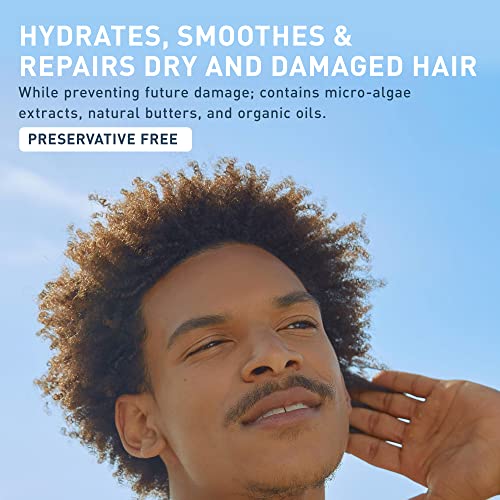 Tanit - Ciel D'azur Shampoo Bar (60g) - Image 7