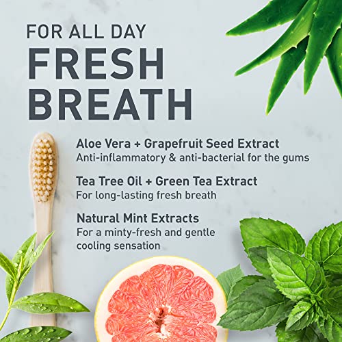 Tanit - Grease & Grime Cleaner, Lem+Grapefruit (20pk) - Image 10