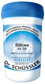 NO. 12 Silicea 6X - Image 3