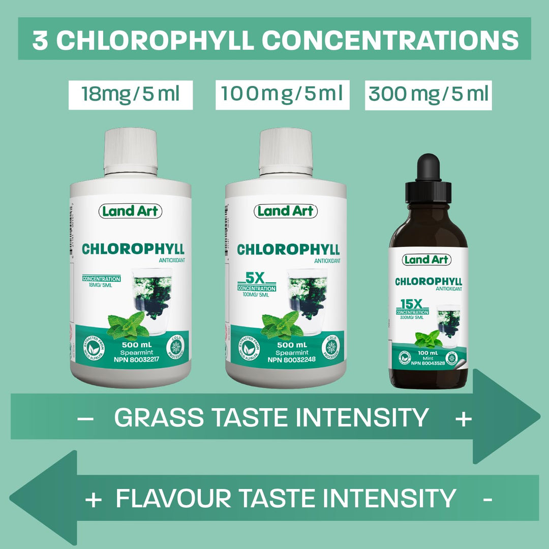 Chlorophyll Apple - Image 10