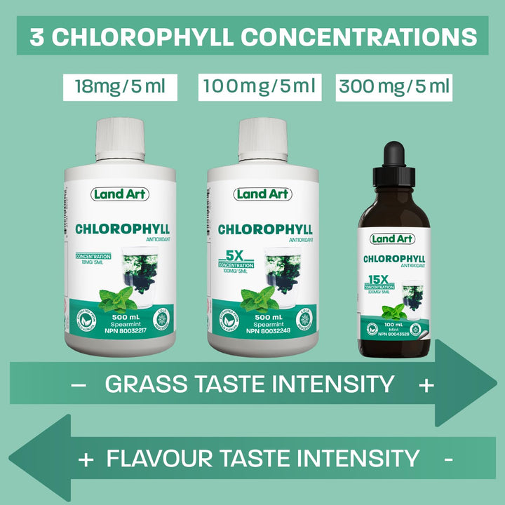 Chlorophyll Apple - Image 10