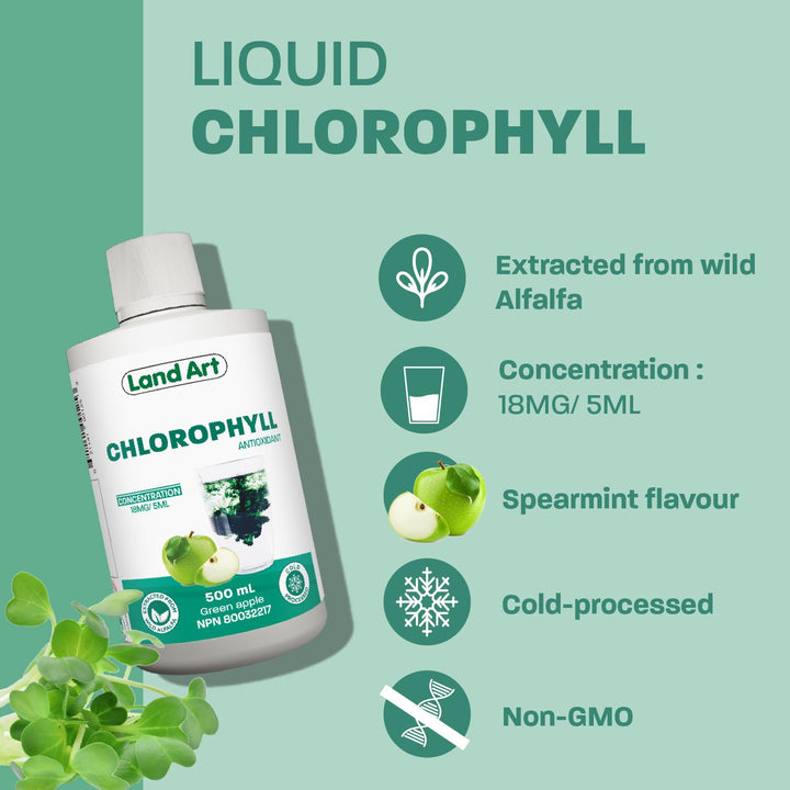 Chlorophyll Apple - Image 4