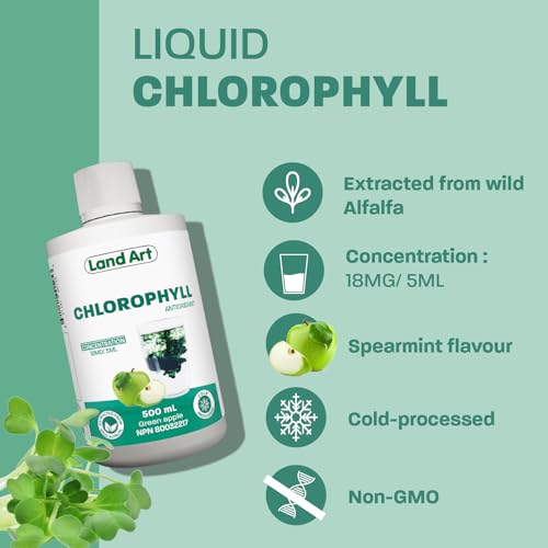 Chlorophyll Apple - Image 5