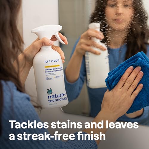 Window & Mirror Cleaner - Image 8