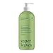 Hand Soap - Olive Leaves - Image 2