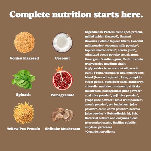 Chocolate Fudge - Image 8