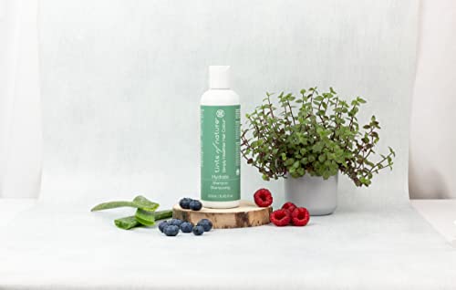 Hydrate Shampoo - Image 5