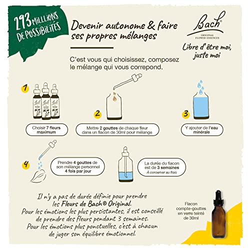 Honeysuckle - Image 8