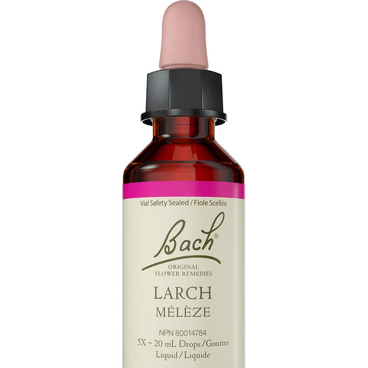 Larch - Image 1