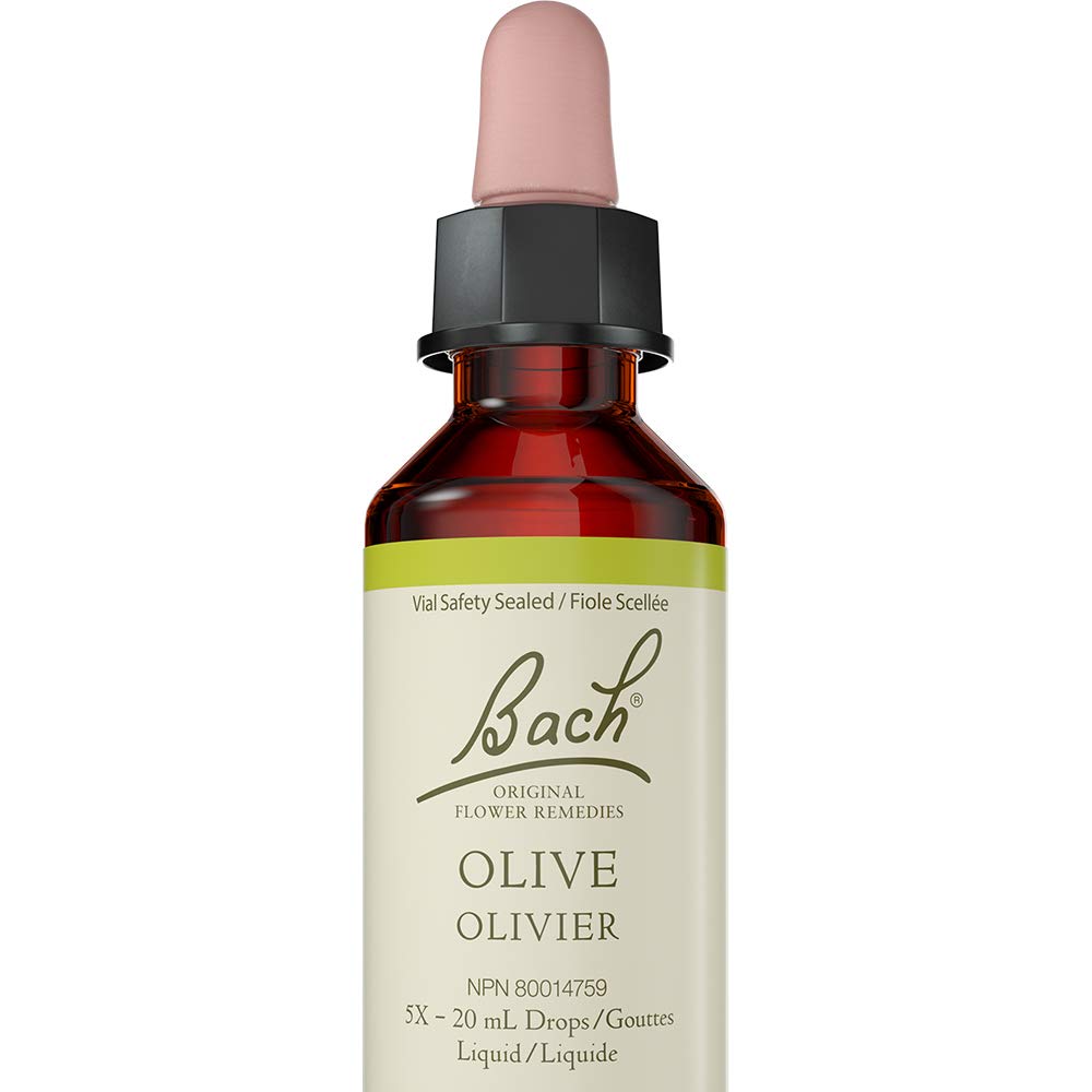 Olive - Image 1