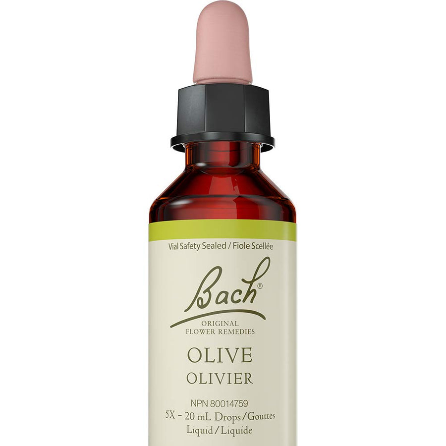 Olive - Image 1