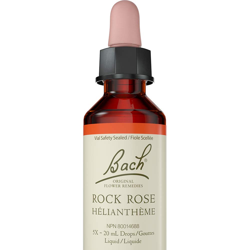 Rock Rose - Image 1