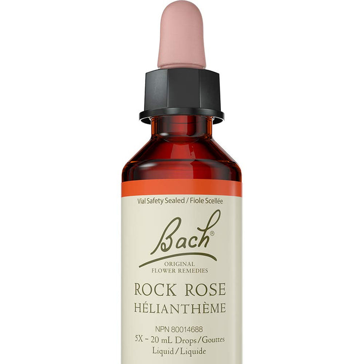 Rock Rose - Image 1