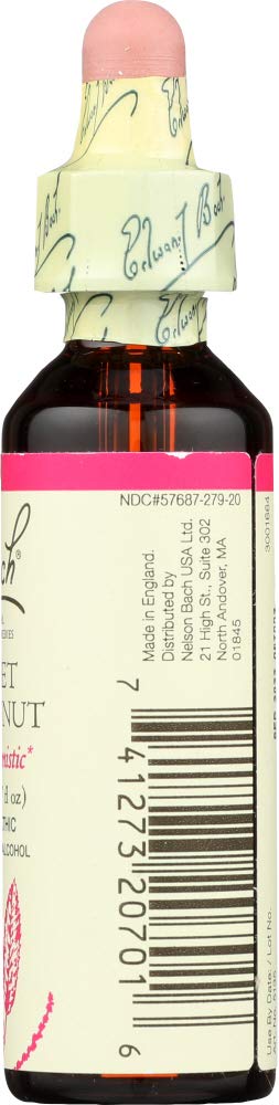 Sweet Chestnut - Image 10