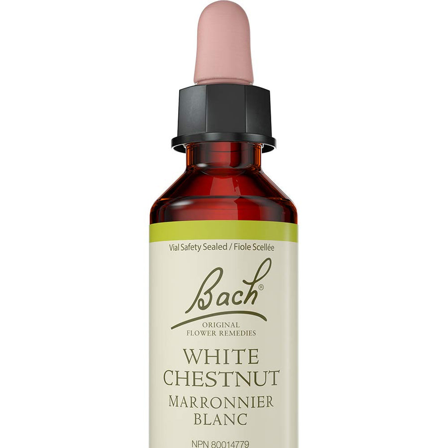 White Chestnut - Image 1