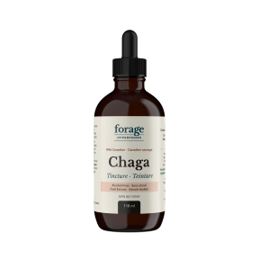 Chaga Tincture - Alcohol Free - Image 3