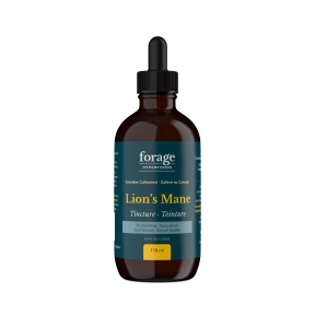 Lion's Mane Tincture - Alcohol Free - Image 2