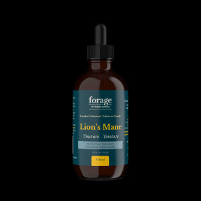 Lion's Mane Tincture - Alcohol Free - Image 3