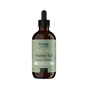 Turkey Tail Tincture - Alcohol Free - Image 3