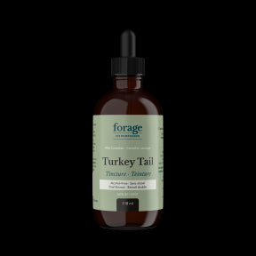 Turkey Tail Tincture - Alcohol Free - Image 4