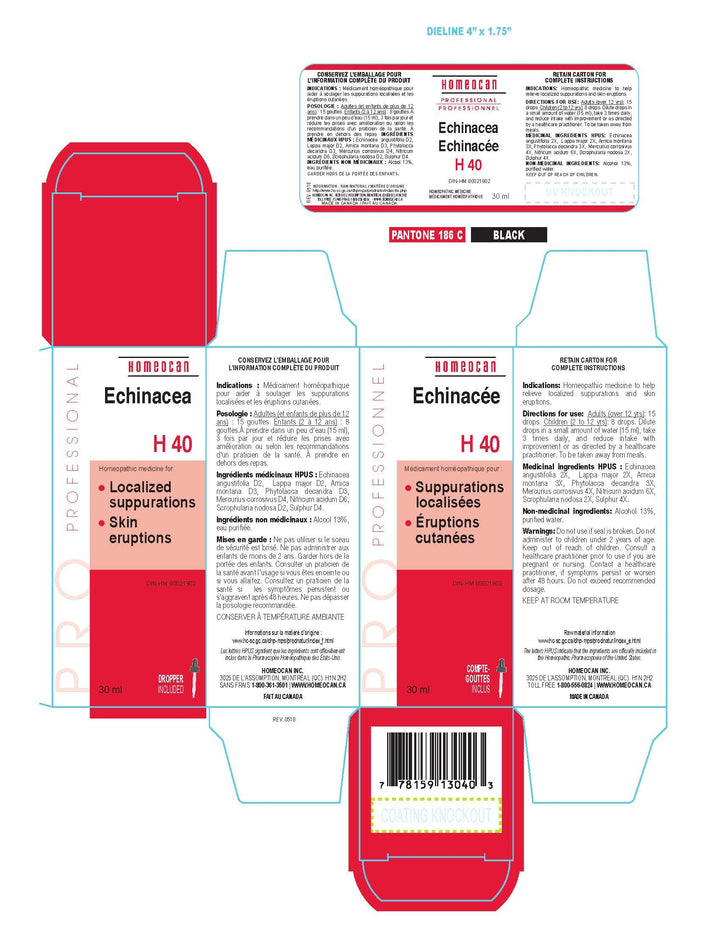 H40 Echinacea Drops - Image 4