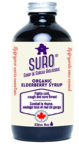 Organic Elderberry Syrup - Image 1