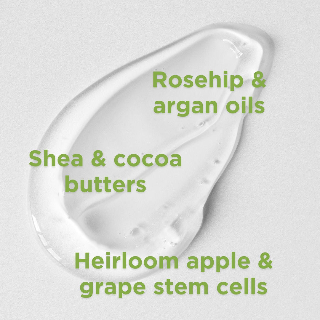 Citrus Sunflower Body Lotion - Image 7