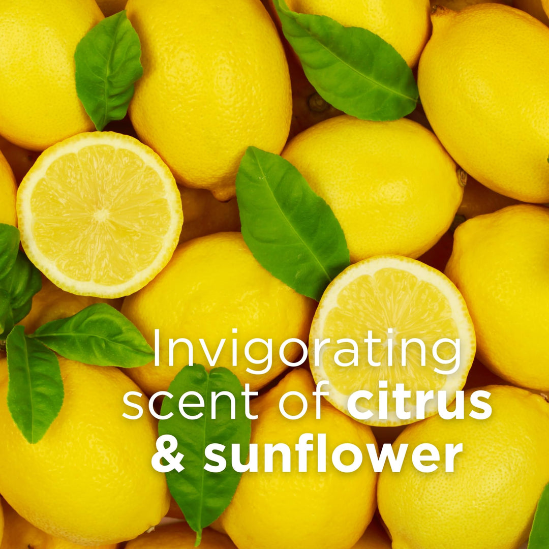 Citrus Sunflower Body Lotion - Image 10