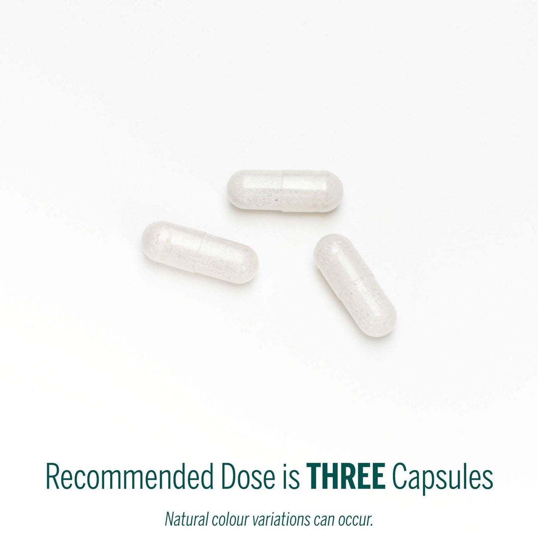 Pregna Vite - Image 7