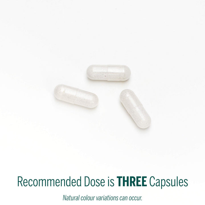 Pregna Vite - Image 7