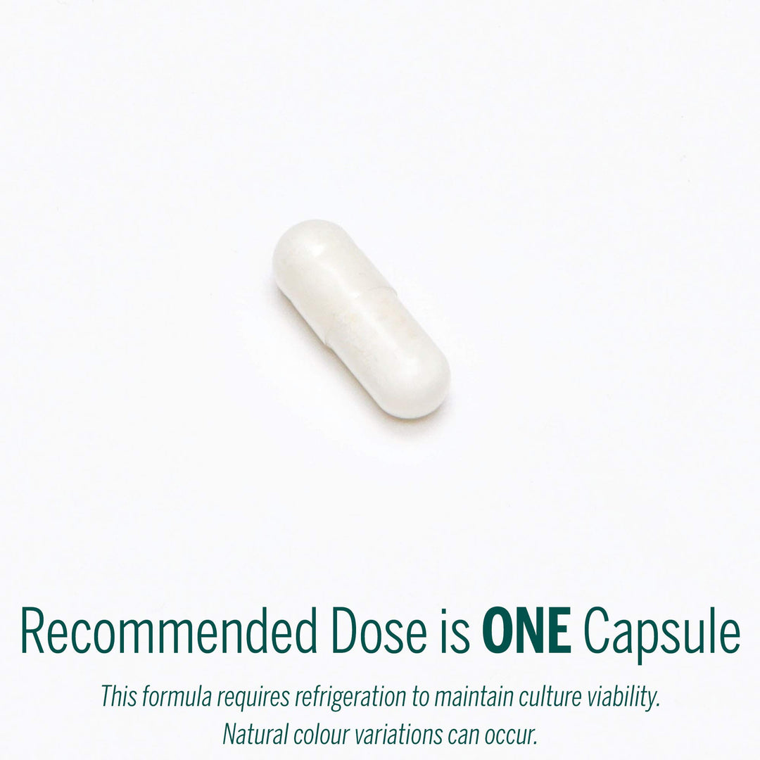 HMF Multi Strain 50 - Image 7