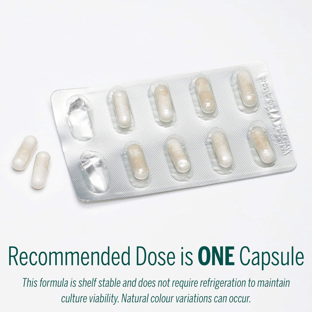 HMF Travel - Image 9