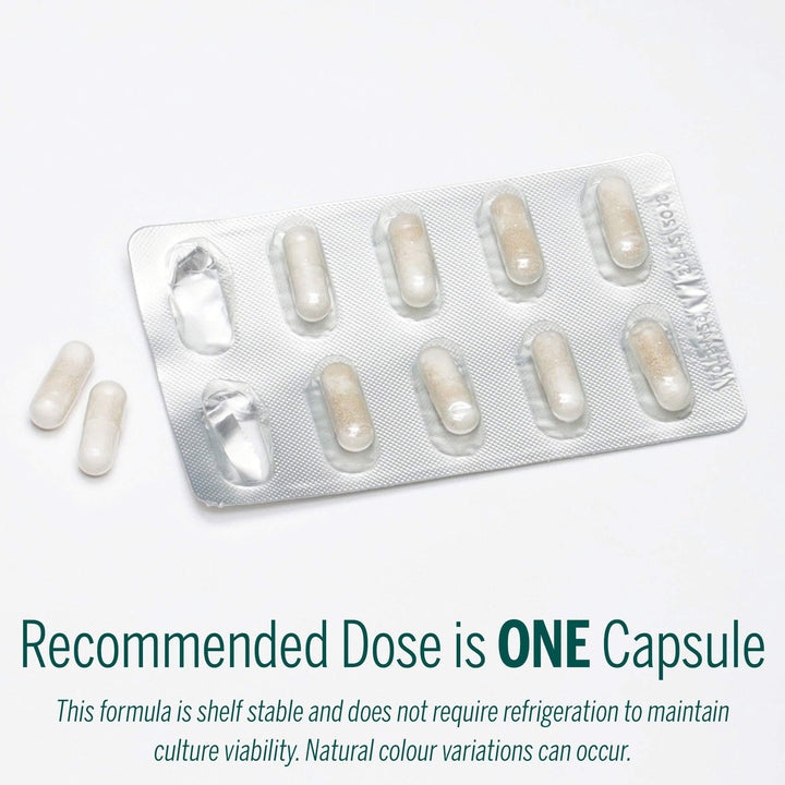 HMF Travel - Image 9