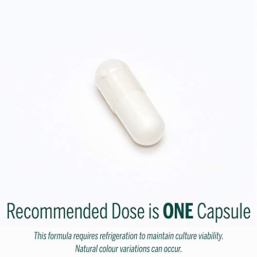 HMF Multi Strain 100 - Image 8