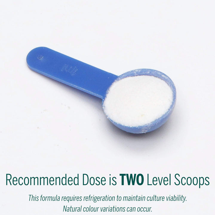 HMF Multi Strain Powder - Image 7