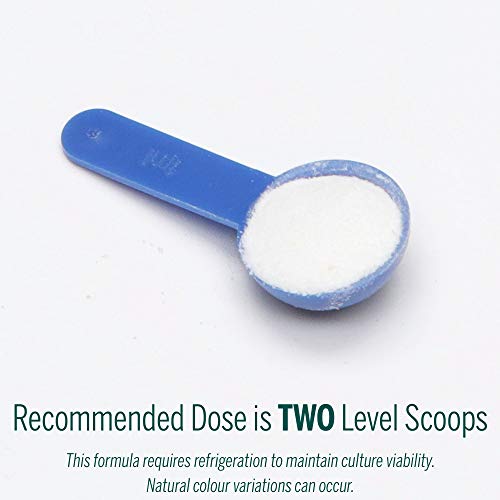 HMF Multi Strain Powder - Image 8