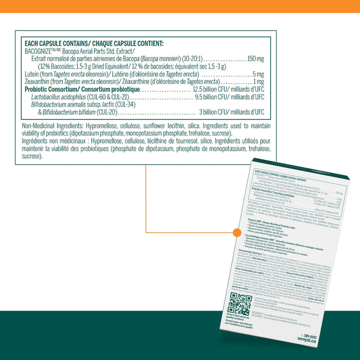 HMF Neuro Cognition - Image 4