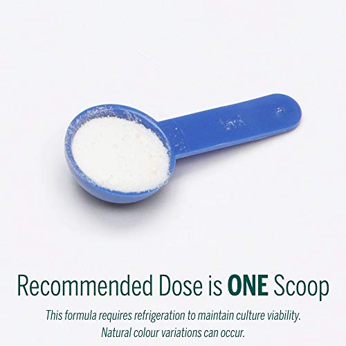 HMF Super Powder - Image 8