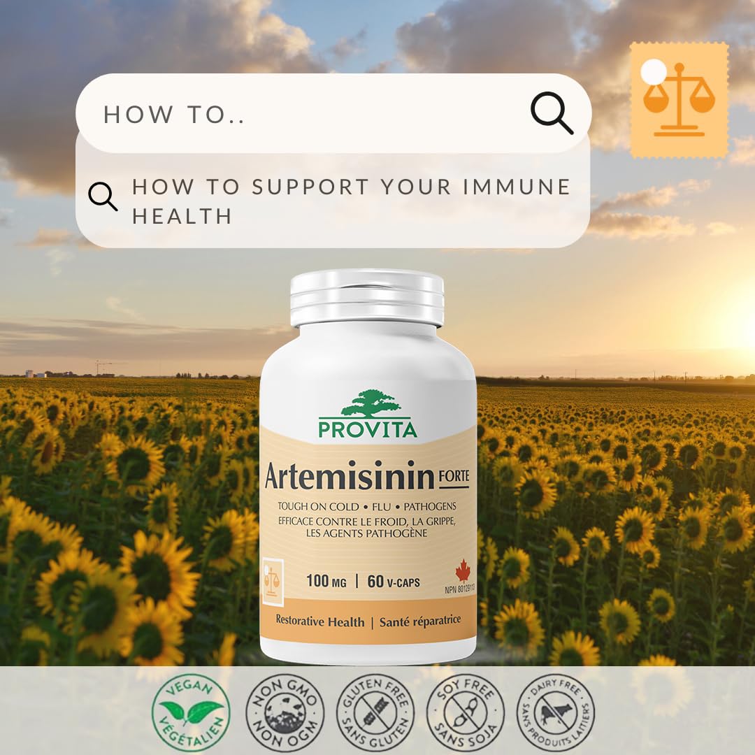 Provita - Artemisinin Forte (60 caps)