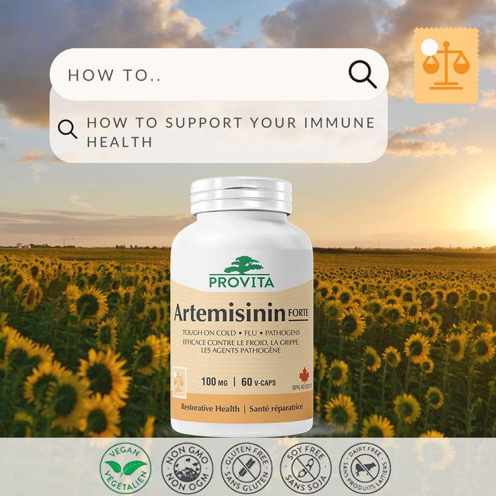 Provita - Artemisinin Forte (60 caps)