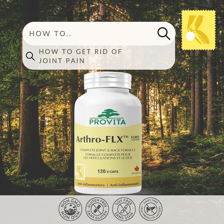 Provita - Arthro-FLX Forte (120 caps)